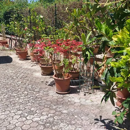 La Finestra Sul Velino, Uno Splendore Da Vivere Διαμέρισμα